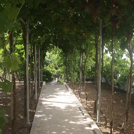 Casatiomanel Villa Amiais de Baixo Buitenkant foto